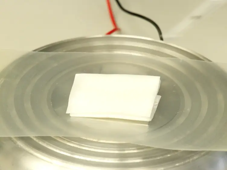 Surgical Ablation Assay for Studying Eye Regeneration in Planarians