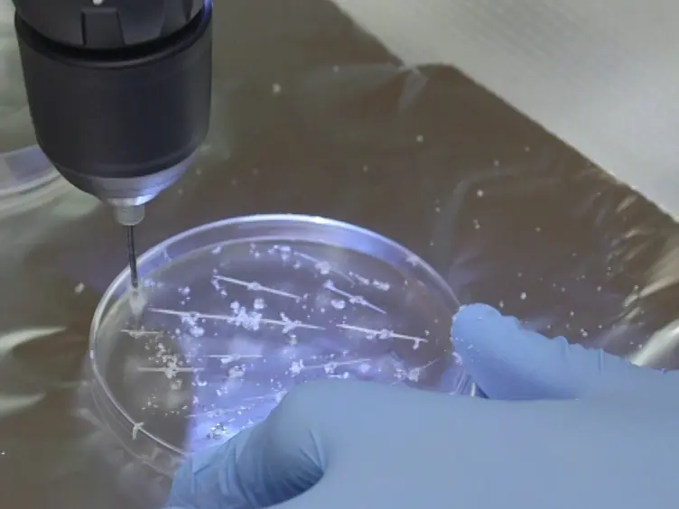 Anatomically Inspired Three-dimensional Micro-tissue Engineered Neural Networks for Nervous System Reconstruction, Modulation, and Modeling