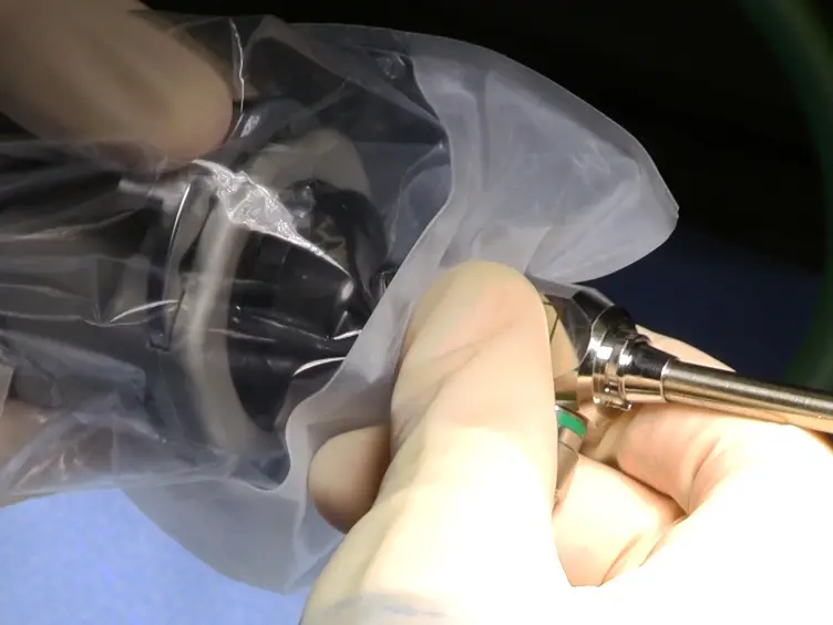 Laparoscopic Technique for Serial Collection of Liver and Mesenteric Lymph Nodes in Macaques