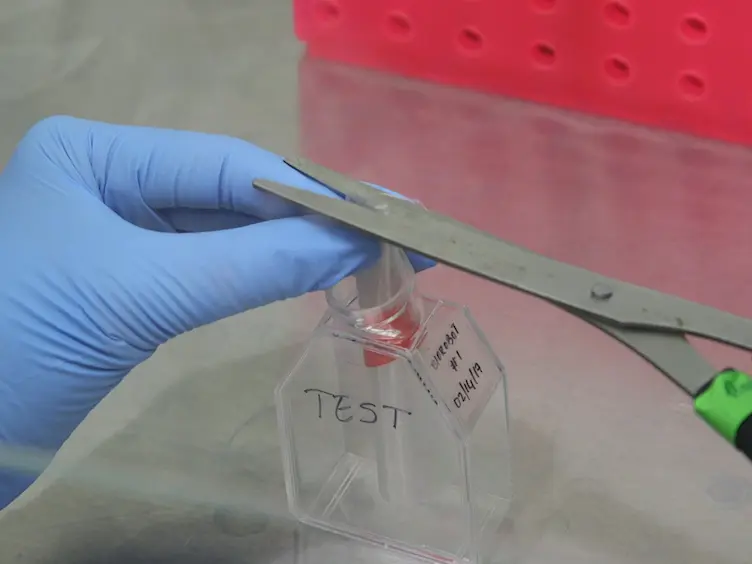 Cardiac Muscle Cell-based Actuator and Self-stabilizing Biorobot - Part 2