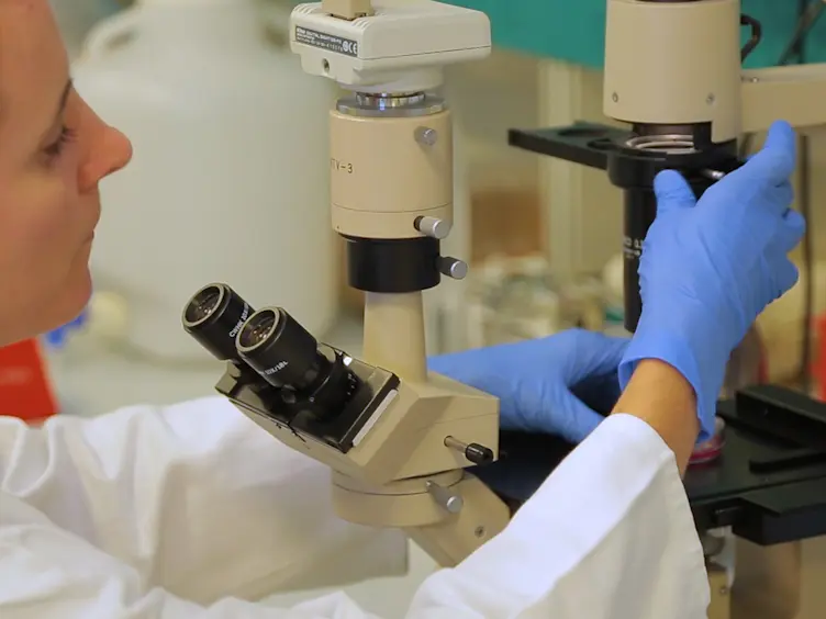 Protocol for the Differentiation of Human Induced Pluripotent Stem Cells into Mixed Cultures of Neurons and Glia for Neurotoxicity Testing