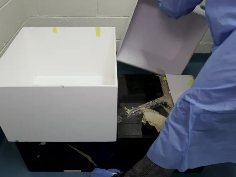 Novel Object Recognition Test for the Investigation of Learning and Memory in Mice