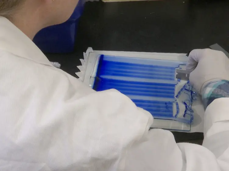 Analyzing Supercomplexes of the Mitochondrial Electron Transport Chain with Native Electrophoresis, In-gel Assays, and Electroelution