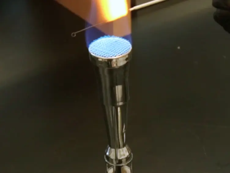 Laboratory Techniques Used to Maintain and Differentiate Biotypes of <em>Vibrio cholerae</em> Clinical and Environmental Isolates
