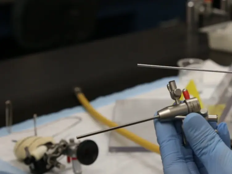 Subcutaneous Neurotrophin 4 Infusion Using Osmotic Pumps or Direct Muscular Injection Enhances Aging Rat Laryngeal Muscles