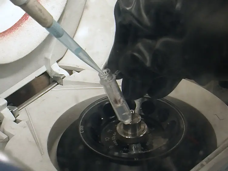 Protein Film Infrared Electrochemistry Demonstrated for Study of H<sub>2</sub> Oxidation by a [NiFe] Hydrogenase