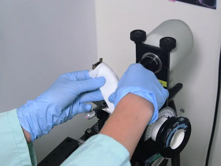 Optical Coherence Tomography: Imaging Mouse Retinal Ganglion Cells <em>In Vivo</em>
