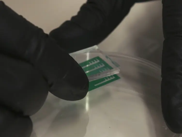 A Simple, Robust, and High Throughput Single Molecule Flow Stretching Assay Implementation for Studying Transport of Molecules Along DNA