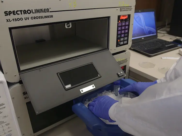 Sample Preparation for Mass Spectrometry-based Identification of RNA-binding Regions