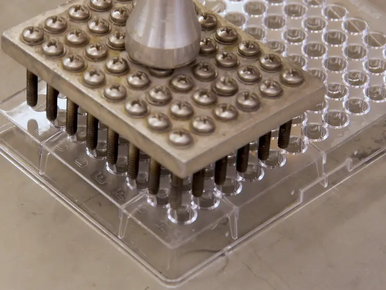 A Modified Yeast-one Hybrid System for Heteromeric Protein Complex-DNA Interaction Studies
