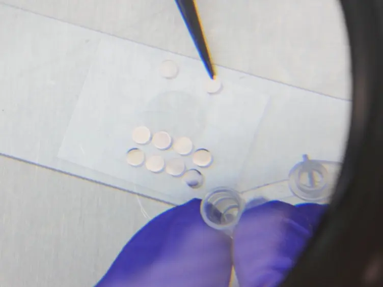 Utilization of Capsules for Negative Staining of Viral Samples within Biocontainment