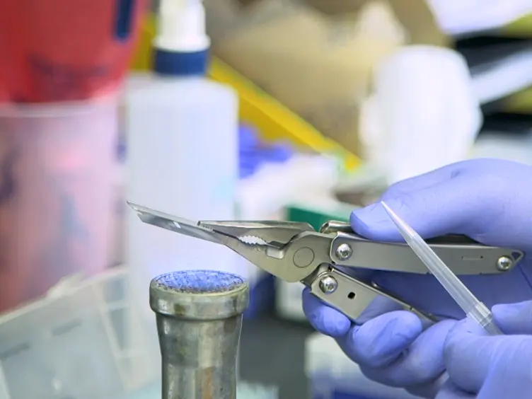 Intratracheal Inoculation of Fischer 344 Rats with <em>Francisella tularensis</em>