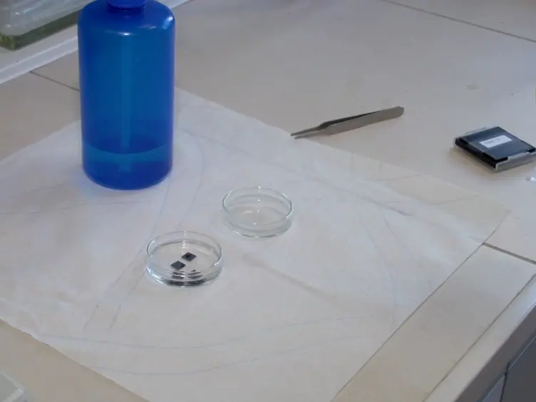 Aerosol-assisted Chemical Vapor Deposition of Metal Oxide Structures: Zinc Oxide Rods