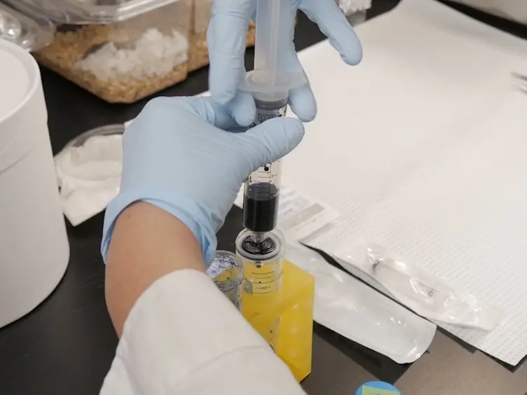 Assessing Urinary Tract Junction Obstruction Defects by Methylene Blue Dye Injection
