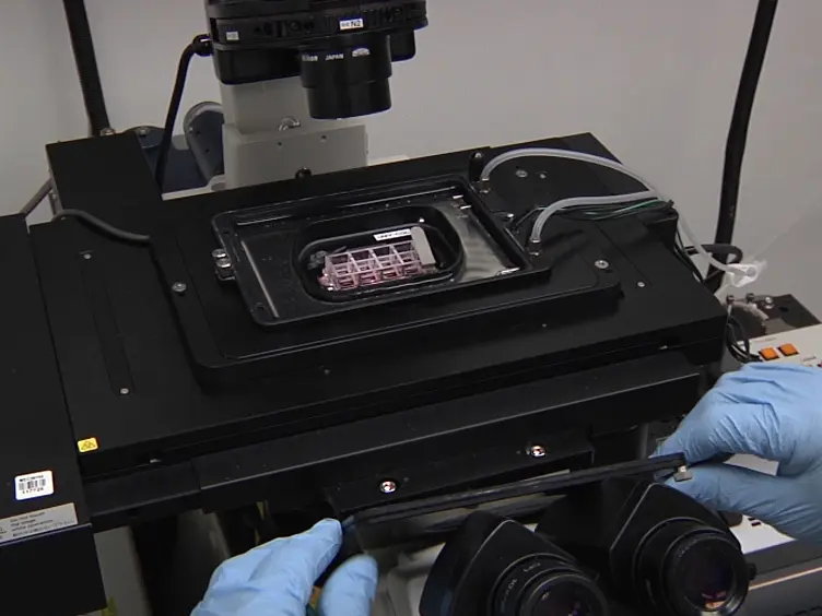 Application of Laser Micro-irradiation for Examination of Single and Double Strand Break Repair in Mammalian Cells