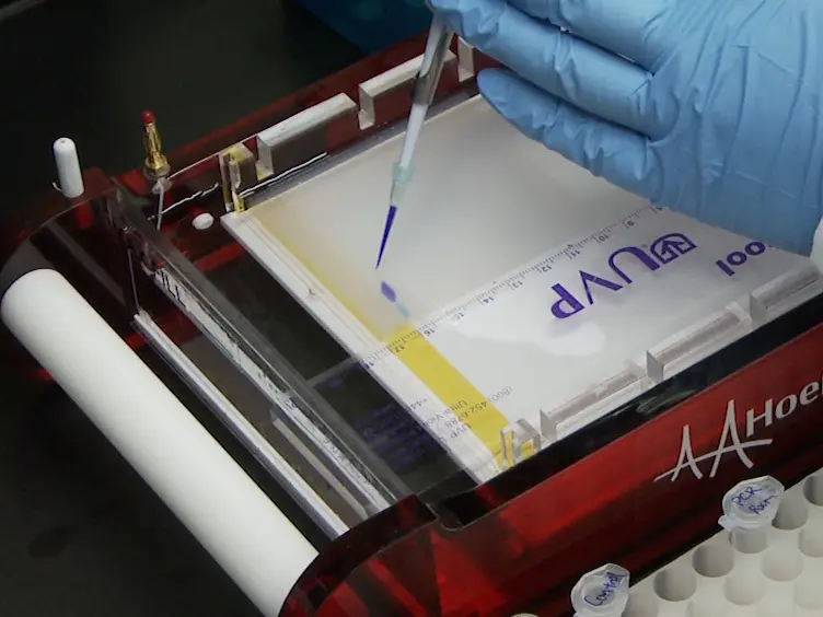 Targeting Cysteine Thiols for <em>in Vitro</em> Site-specific Glycosylation of Recombinant Proteins