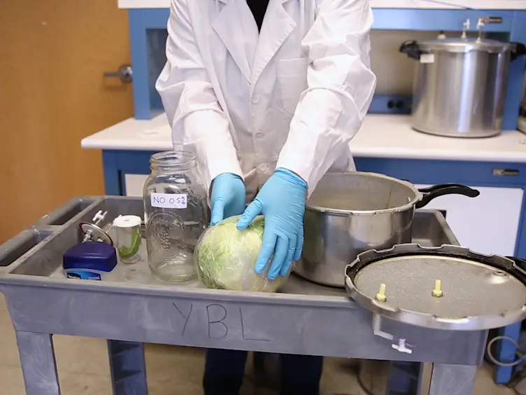Procedures of Laboratory Fumigation for Pest Control with Nitric Oxide Gas