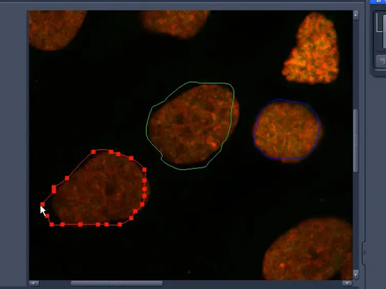 Immunostaining for DNA Modifications: Computational Analysis of Confocal Images