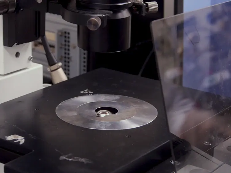 Quantifying Microorganisms at Low Concentrations Using Digital Holographic Microscopy (DHM)