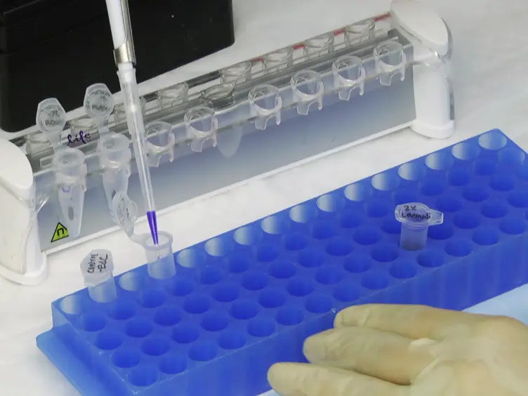 Purification of Viral DNA for the Identification of Associated Viral and Cellular Proteins