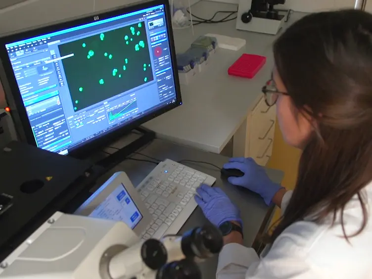 Target Cell Pre-enrichment and Whole Genome Amplification for Single Cell Downstream Characterization