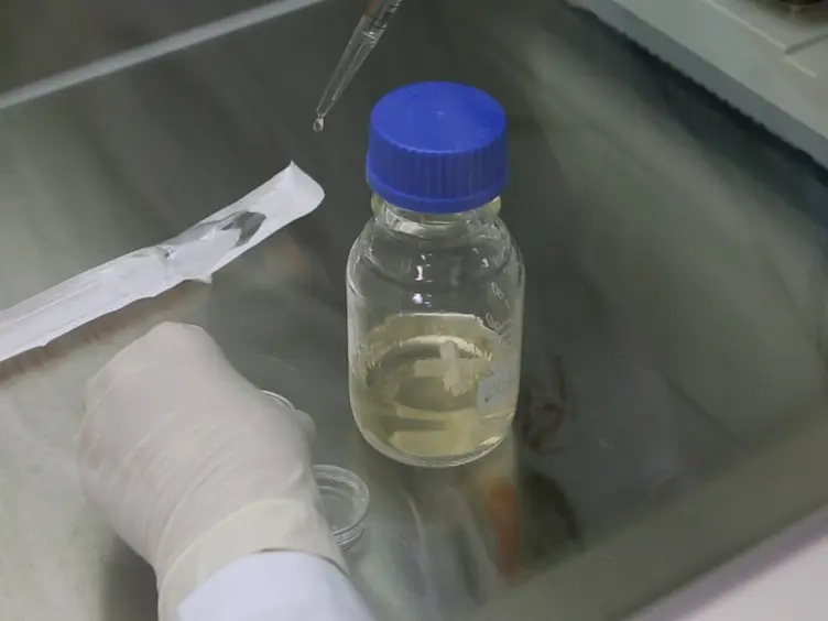 Measuring the Effect of Chemicals on the Growth and Reproduction of <em>Caenorhabditis elegans</em>
