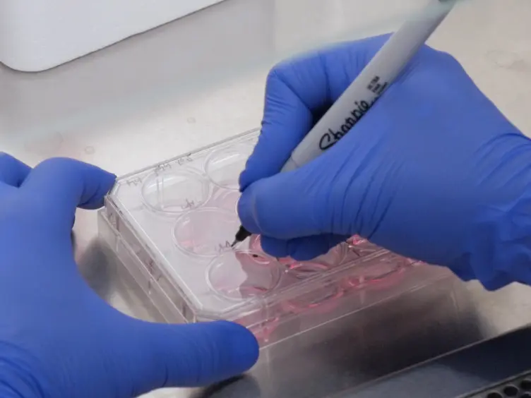 Using the Dot Assay to Analyze Migration of Cell Sheets