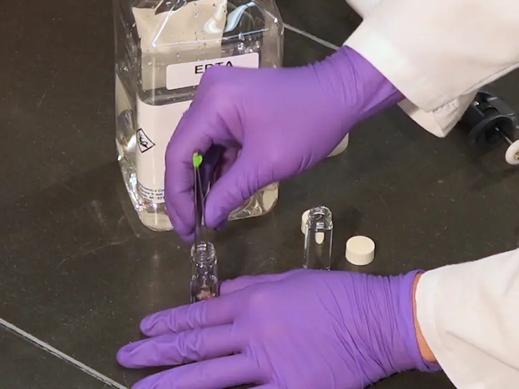 Trans-Tympanic Drug Delivery for the Treatment of Ototoxicity