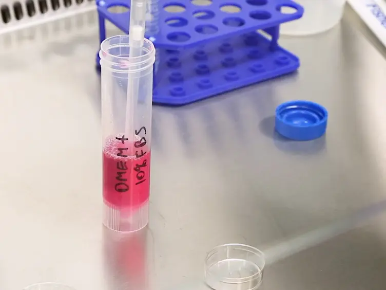 Moving Upwards: A Simple and Flexible <em>In Vitro</em> Three-dimensional Invasion Assay Protocol