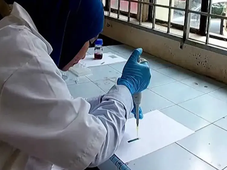 Development of an Electrochemical DNA Biosensor to Detect a Foodborne Pathogen