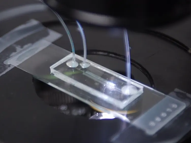 Microfluidic Devices for Characterizing Pore-scale Event Processes in Porous Media for Oil Recovery Applications