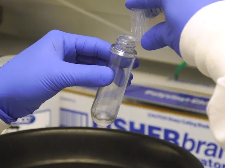 Detection and Removal of Nuclease Contamination During Purification of Recombinant Prototype Foamy Virus Integrase