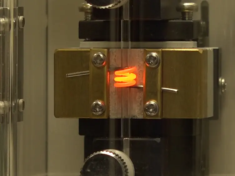 Application of Electrophysiology Measurement to Study the Activity of Electro-Neutral Transporters
