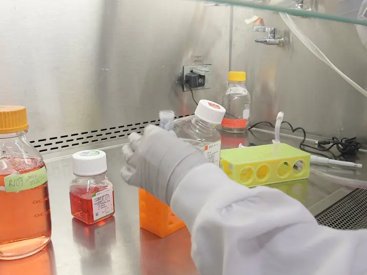 Pre-Conditioning the Airways of Mice with Bleomycin Increases the Efficiency of Orthotopic Lung Cancer Cell Engraftment