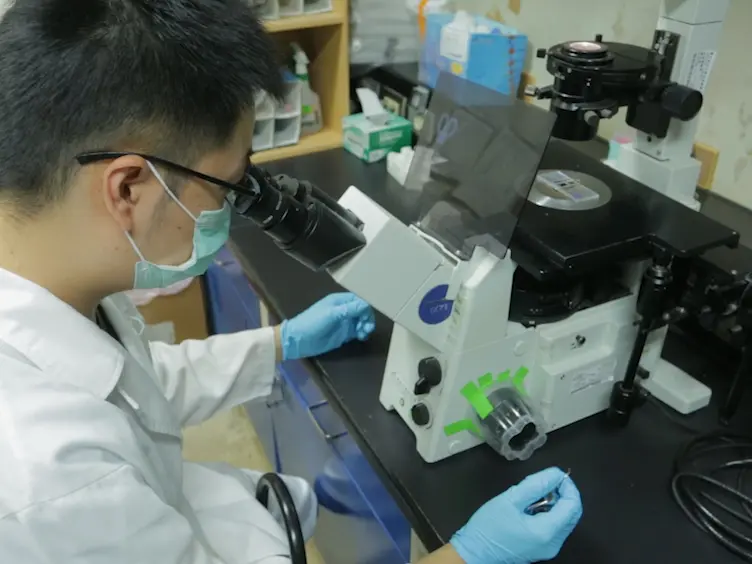 The Establishment of a Lung Colonization Assay for Circulating Tumor Cell Visualization in Lung Tissues