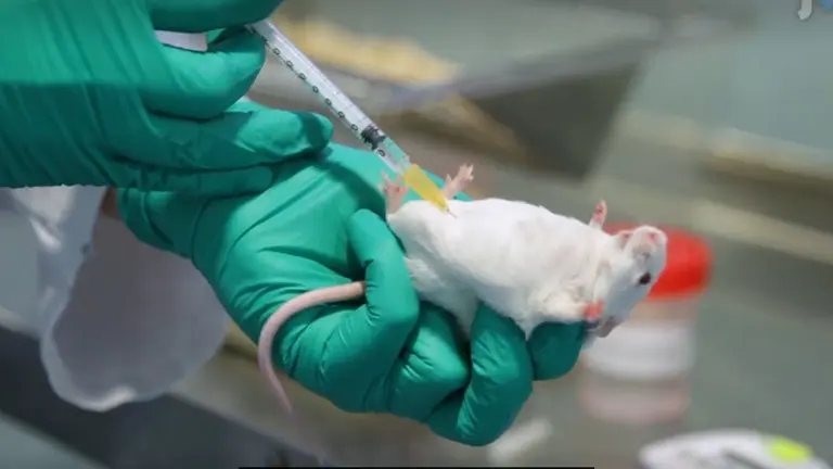 Reinstatement of Drug-seeking in Mice Using the Conditioned Place Preference Paradigm