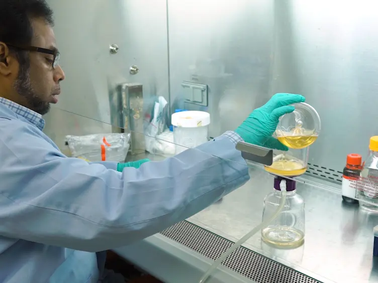 Production and Purification of Baculovirus for Gene Therapy Application