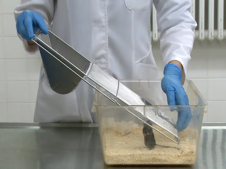 Systematic Assessment of Well-Being in Mice for Procedures Using General Anesthesia
