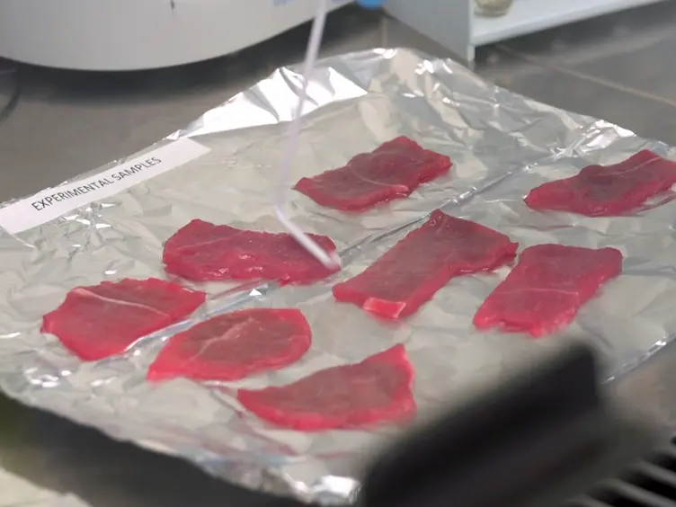 The Effect of the Application of Thyme Essential Oil on Microbial Load During Meat Drying