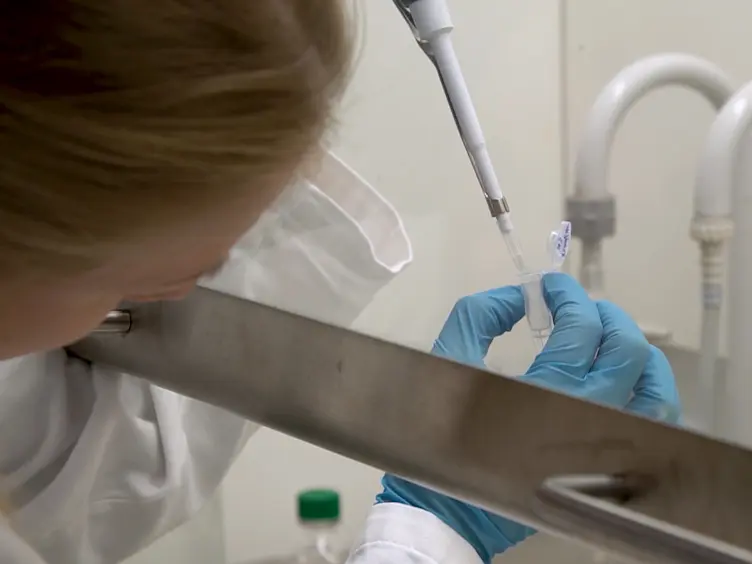 Investigation of RNA Synthesis Using 5-Bromouridine Labelling and Immunoprecipitation