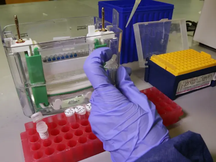 Detection of Detergent-sensitive Interactions Between Membrane Proteins