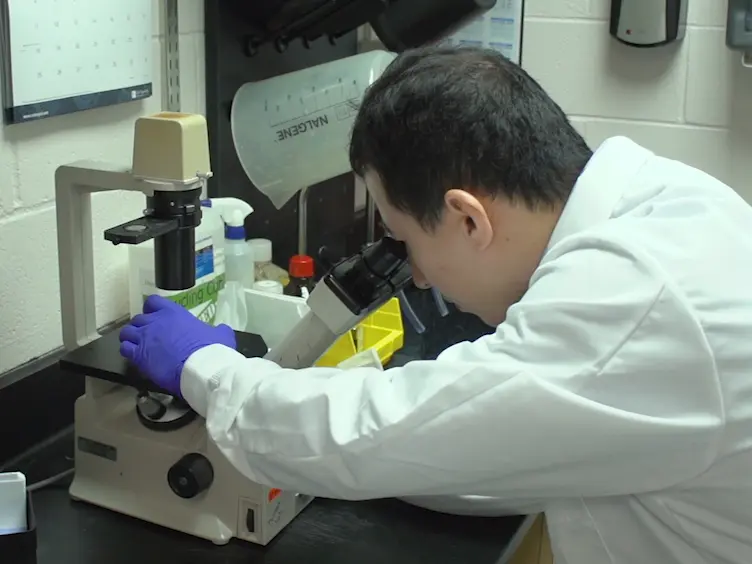 Using Human Induced Pluripotent Stem Cell-derived Hepatocyte-like Cells for Drug Discovery
