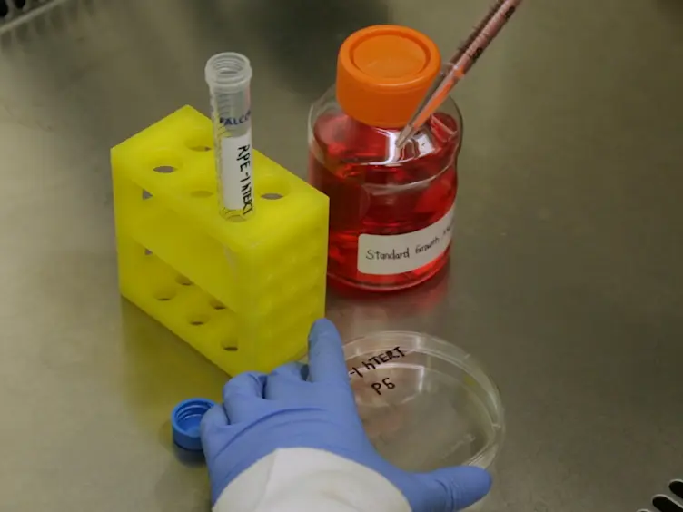 Generation and Isolation of Cell Cycle-arrested Cells with Complex Karyotypes