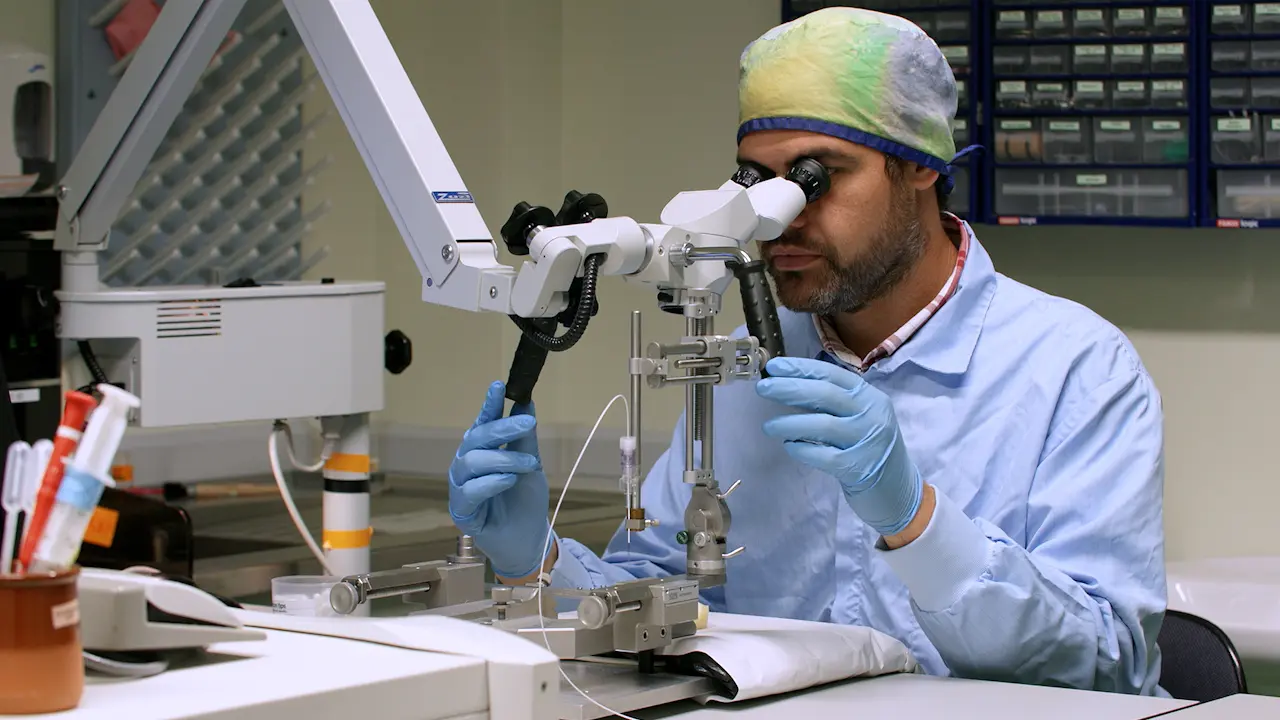 In Vivo Fiber-Coupled Pre-Clinical Confocal Laser-scanning Endomicroscopy (pCLE) of Hippocampal Capillaries in Awake Mice