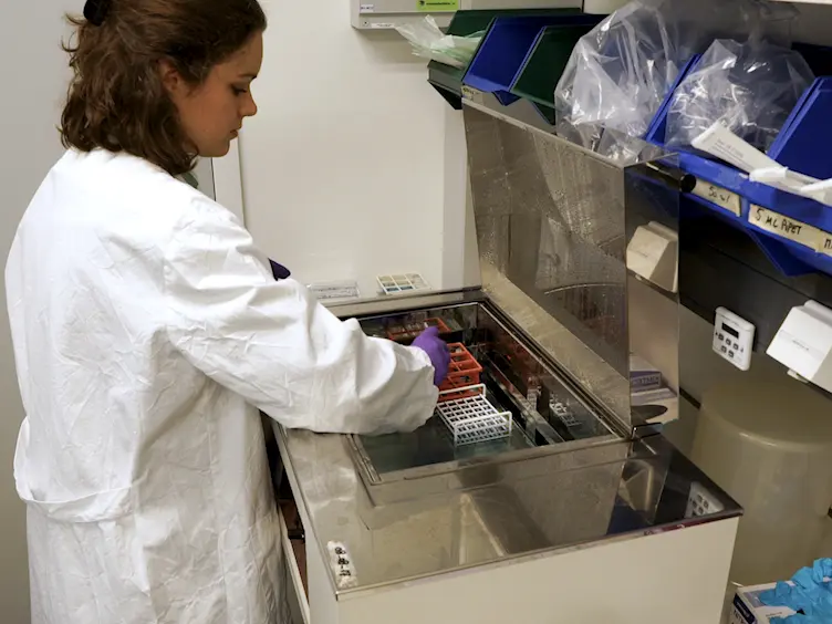 Characterization of Immune Cells in Human Adipose Tissue by Using Flow Cytometry