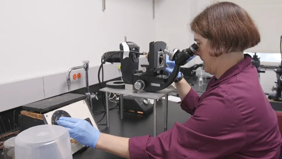 Micromanipulation of Chromosomes in Insect Spermatocytes