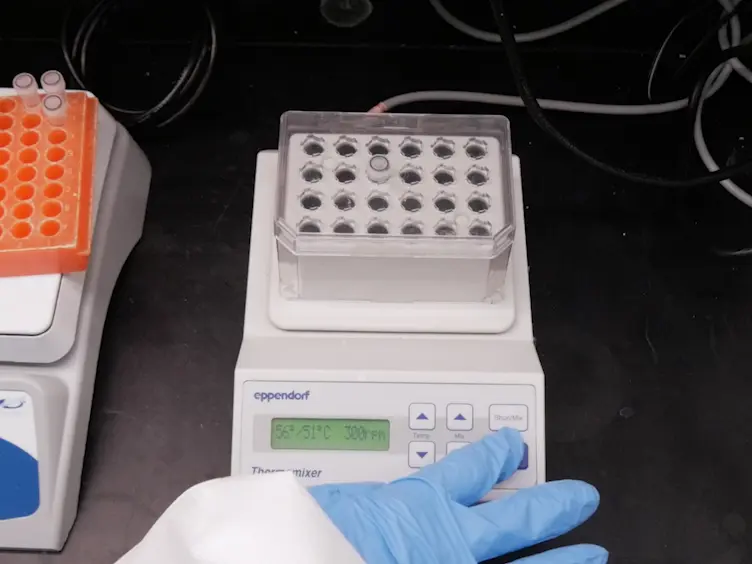 A Simple Flow Cytometry Based Assay to Determine <em>In Vitro</em> Antibody Dependent Enhancement of Dengue Virus Using Zika Virus Convalescent Serum