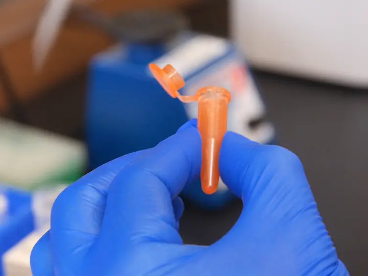 The Lambda Select <em>cII</em> Mutation Detection System