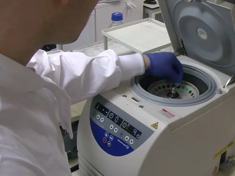 Evaluating Vascular Hyperpermeability-inducing Agents in the Skin with the Miles Assay