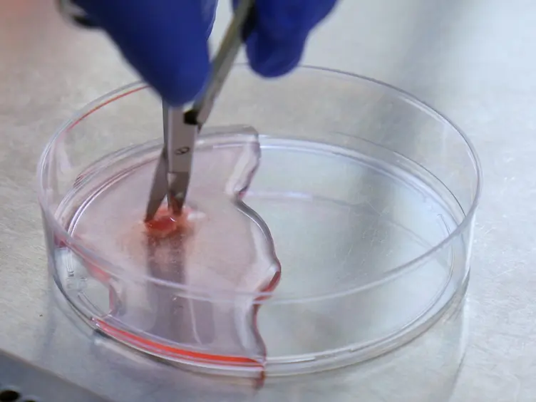 Utilization of Ultrasound Guided Tissue-directed Cellular Implantation for the Establishment of Biologically Relevant Metastatic Tumor Xenografts